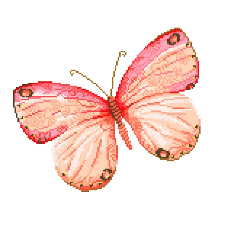 Papillon Abricot
