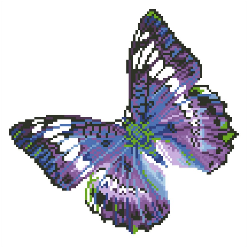 Flutter By Mauve