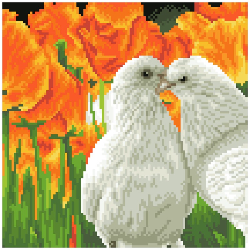 Kissing Doves