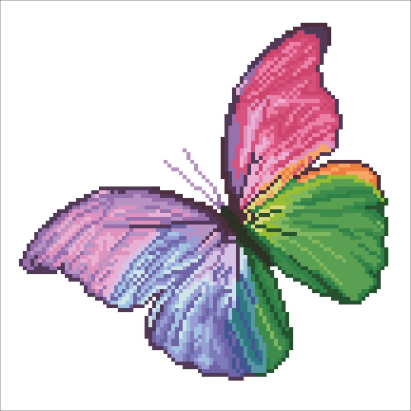 Flutter by Pink με κορνίζα