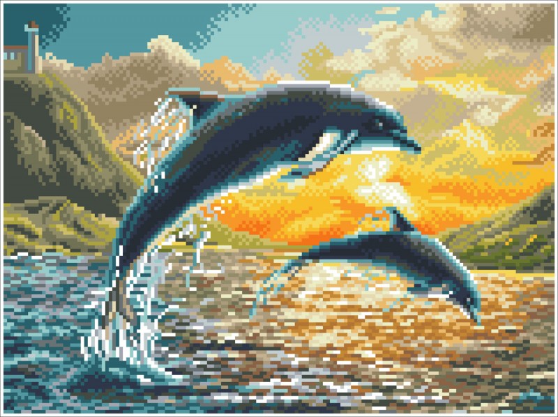 Dolphin Sunset με κορνίζα