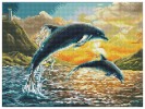 Dolphin Sunset με κορνίζα