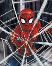 Spiderman Web-Slinger